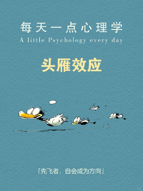 每天一个心理学知识｜头雁效应 🪶你有没有发现一个现象： 很多团队最后都会越来越像他们的领导