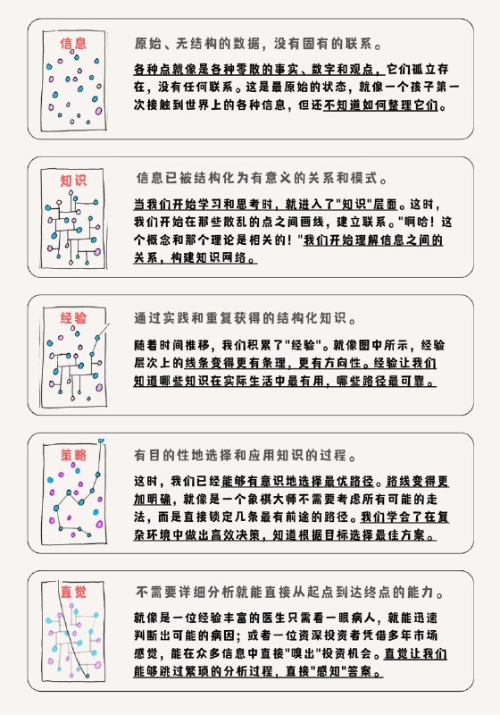 人类思维处理信息的五个层次⬇️信息→知识→经验→策略→直觉