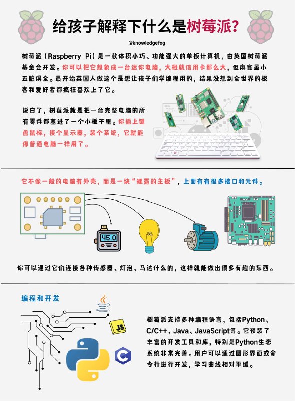 给孩子解释下什么是树莓派？#编程小知识 #计算机网络小知识 #给孩子解释下