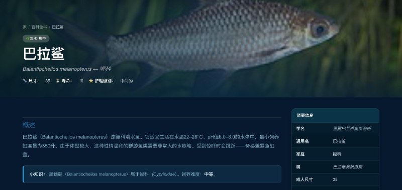 养鱼佬狂喜：FishCare AI一个综合性的养鱼与水族箱资讯网站,整合了鱼种百科、养鱼指南、水族工具、鱼类健康资源和鱼类识别功能,涵盖水族箱设置、水质、喂食、鱼类兼容性等实用问题
