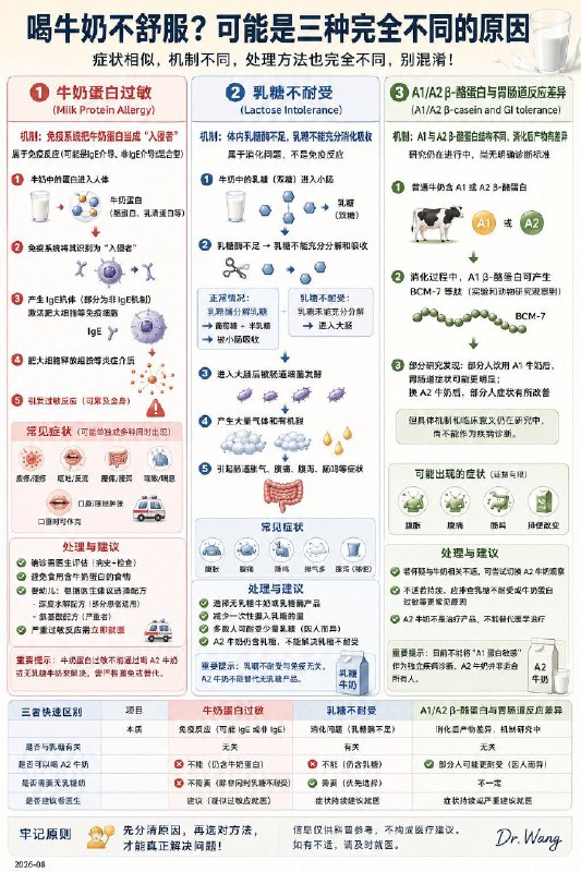 「一张图厘清：牛奶蛋白过敏 vs 乳糖不耐受 vs A1/A2 敏感」