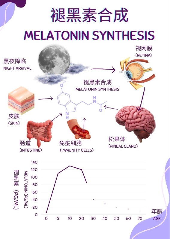 深夜刷手机：正在悄悄透支你的“睡眠荷尔蒙”？ 你是否也经历过这样的夜晚：明明身体已经疲惫不堪，时钟指向凌晨1点，却依然毫无睡意；或者一躺到床上，大脑就异常活跃，仿佛有台发动机在轰鸣，思绪纷乱难以入眠？这些困扰可能并非仅仅源于不够自律，其背后或许与你体内一种关键的激素——“黑夜荷尔蒙”褪黑素的分泌紊乱息息相关