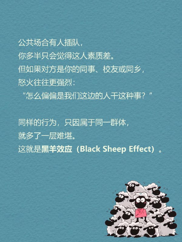 每天一个心理学知识｜黑羊效应🐑公共场合有人插队，你多半只会觉得这人素质差