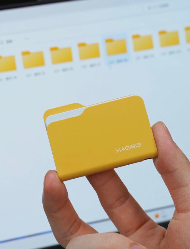 有趣的设计 Hagibis Folder SSD
