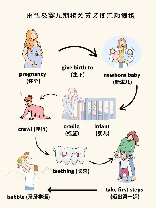 没事学点英语小知识：人的一生——出生和婴儿期#英语小知识没事学点英语小知识：人的一生——出生和婴儿期#英语小知识