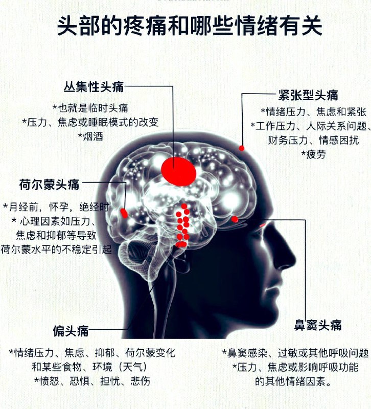 身体和心理之间的相互作用&情绪和行为对身体健康和疾病的影响