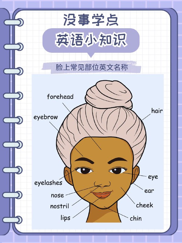 没事学点英语小知识：脸上常见部位英文名称Forehead - [ˈfɔːrhed] - 额头Eyebrow - [ˈaɪbraʊ] - 眉毛Hair - [hɛər] - 头发Eyelashes - [ˈaɪˌlæʃɪz] - 睫毛Eye - [aɪ] - 眼睛Ear - [ɪər] - 耳朵Nose - [noʊz] - 鼻子Nostril - [ˈnɑːstrɪl] - 鼻孔Lips - [lɪps] - 嘴唇Cheek - [tʃiːk] - 脸颊Chin - [tʃɪn] - 下巴