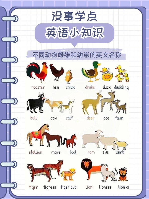 没事学点英语小知识：不同动物及其雌雄和幼崽的英文名称没事学点英语小知识：不同动物及其雌雄和幼崽的英文名称