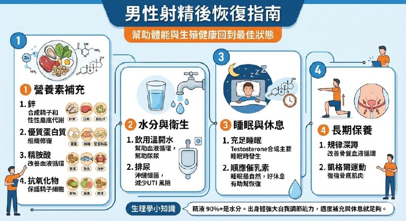 当男性在性交后或是手淫射精后身体会因为泌乳素分泌而感到疲惫也会有不反应期那在这段期间可以做什么努力呢？男性在射精（性交或手淫）后，身体会经历短暂的荷尔蒙波动与能量消耗虽然单次射精消耗的热量并不算高（大约等同于快走几分钟），但适度的补充与良好的生活习惯确实能帮助生殖系统和体能更快回到最佳状态