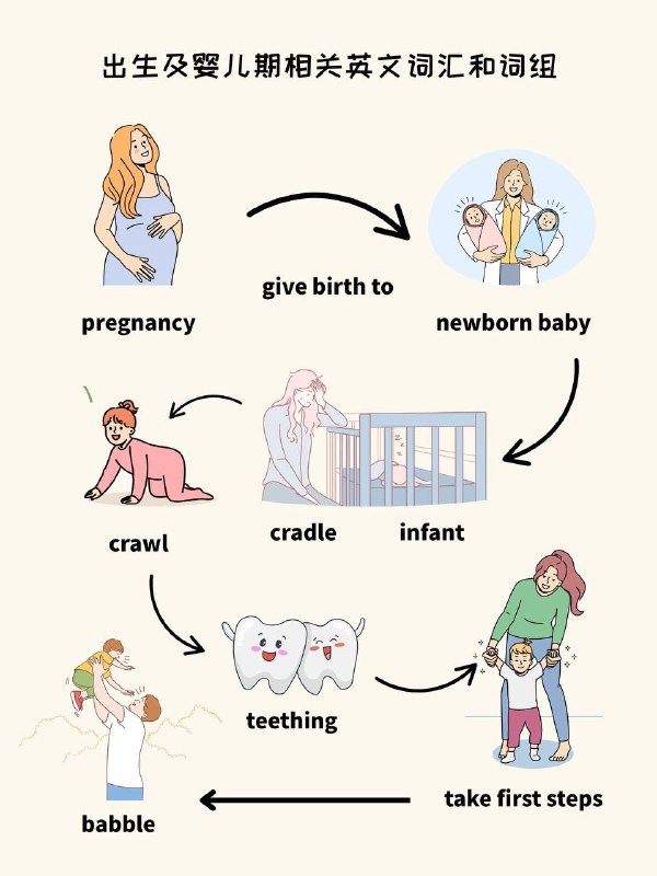 没事学点英语小知识：人的一生——出生和婴儿期#英语小知识没事学点英语小知识：人的一生——出生和婴儿期#英语小知识