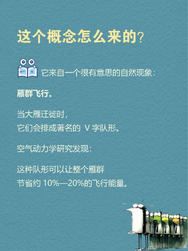 每天一个心理学知识｜头雁效应 🪶你有没有发现一个现象： 很多团队最后都会越来越像他们的领导