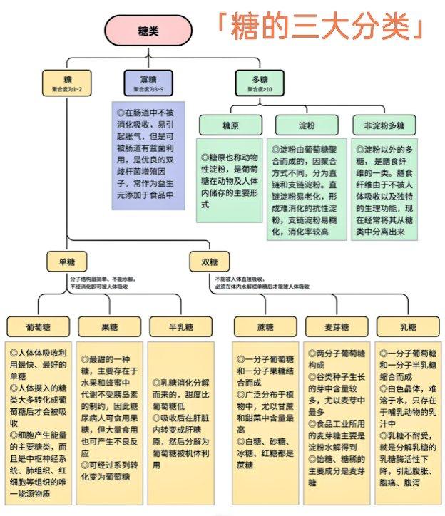 糖的3大分类