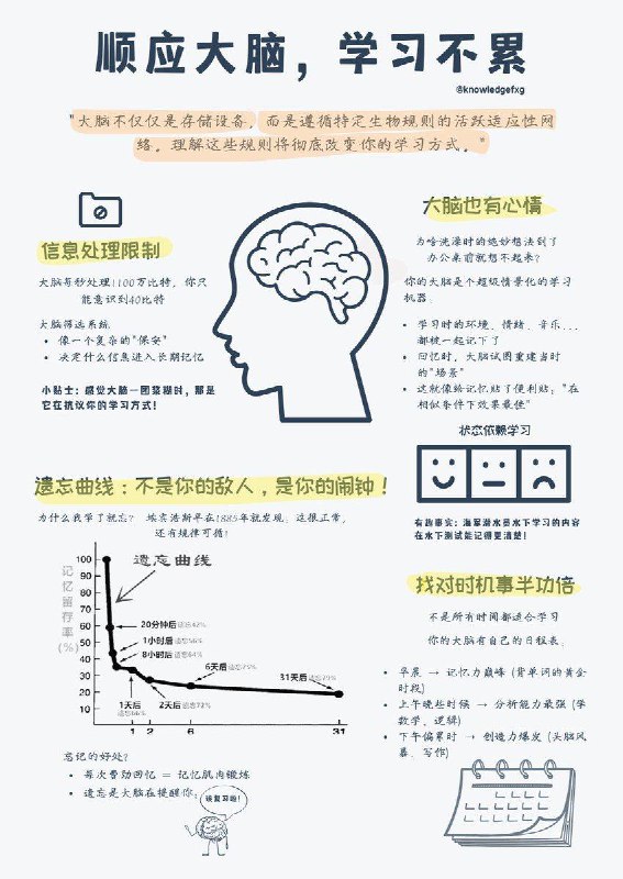 顺应大脑，学习不累如何根据大脑的自然设计来优化学习方法？