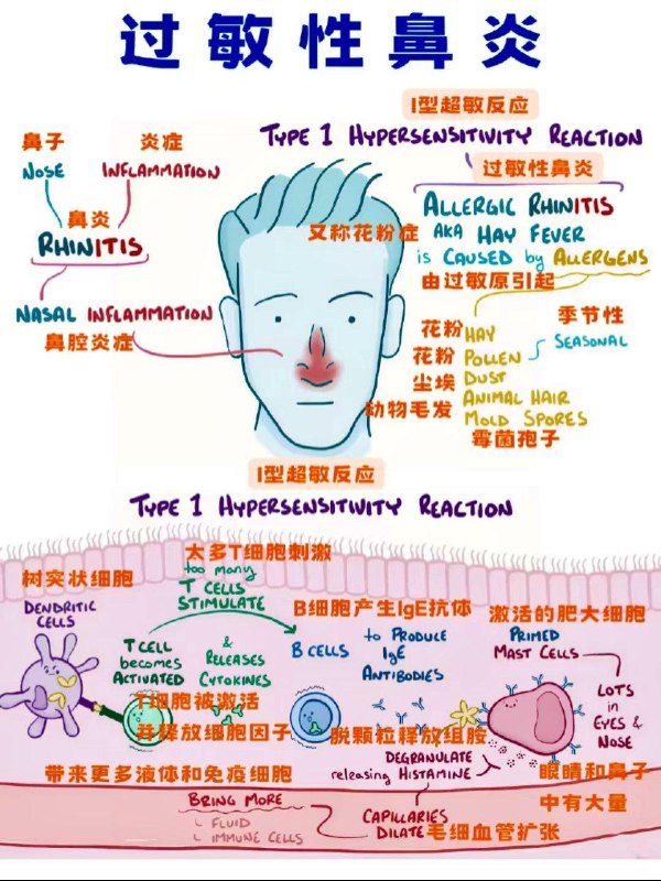 「医学科普：春季花粉症（过敏性鼻炎）来袭 过敏族群该如何防范与治疗？」「医学科普：春季花粉症（过敏性鼻炎）来袭 过敏族群该如何防范与治疗？」