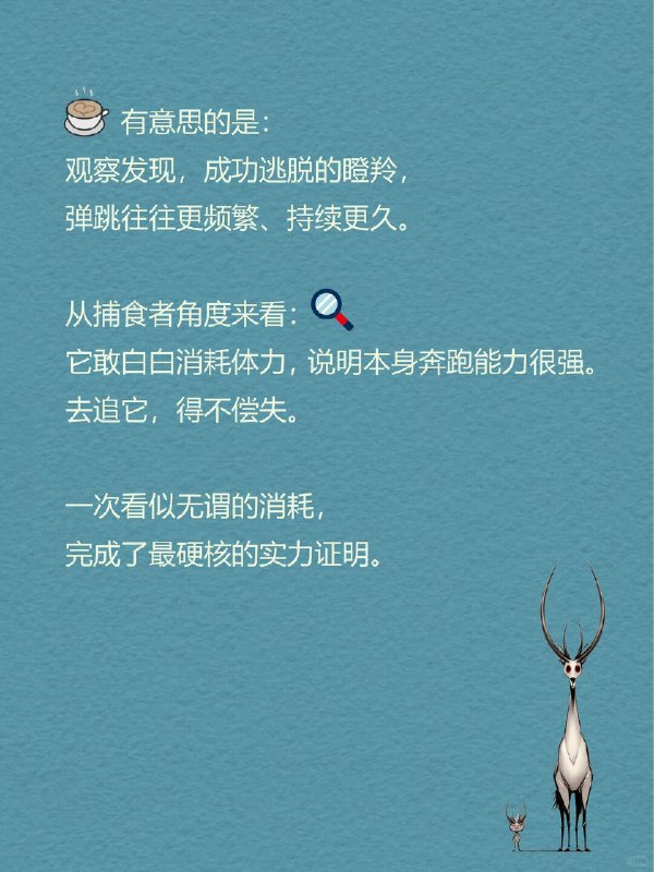 每天一个心理学知识｜昂贵信号理论💰先看一个反常的动作👇瞪羚遇到捕食者，有时会四肢同时离地，向上弹跳
