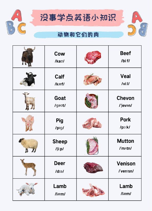 没事学点英文小知识动物和它们的肉#英语小知识没事学点英文小知识动物和它们的肉#英语小知识