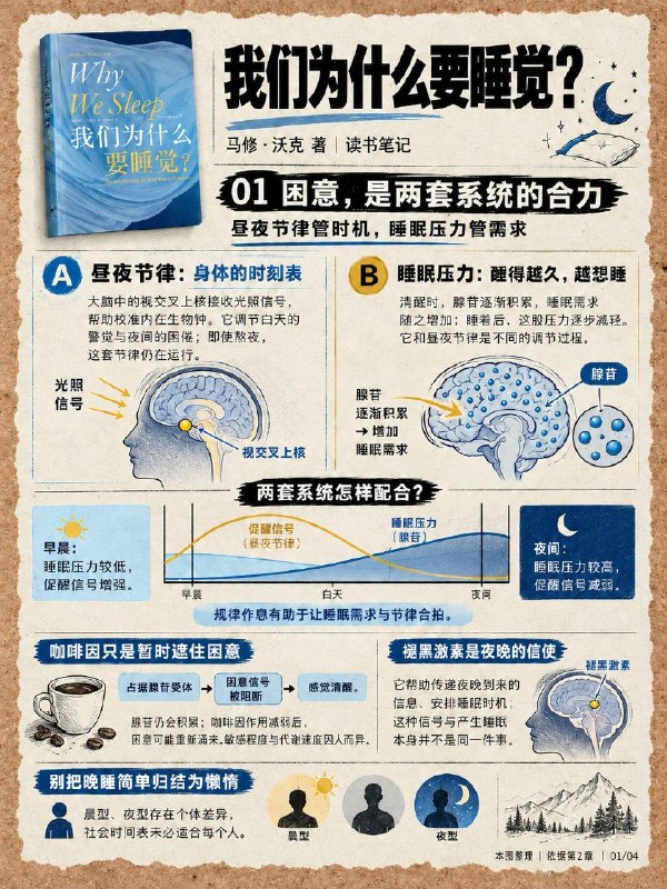 没事读本书：《我们为什么要睡觉？》本书是由马修·沃克写给大众的一本睡眠科普书