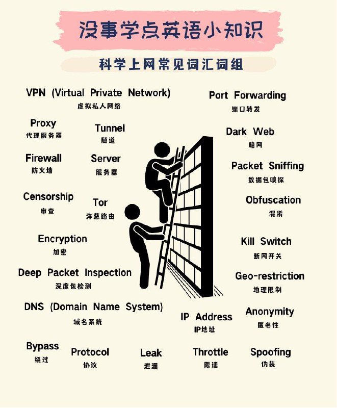 没事学点英语小知识：科学上网常见词汇词组#英语小知识