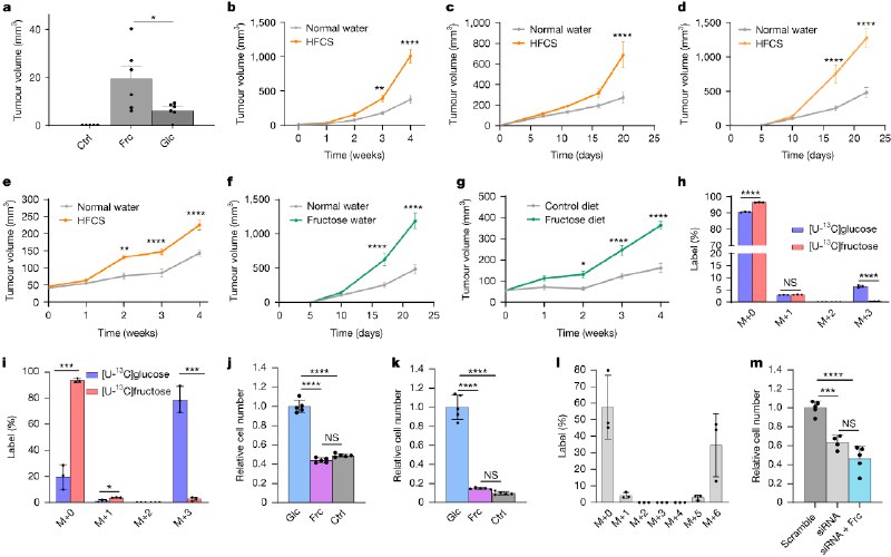 Dietary fructose enhances tumour growth indirectly via interorgan lipid transfer