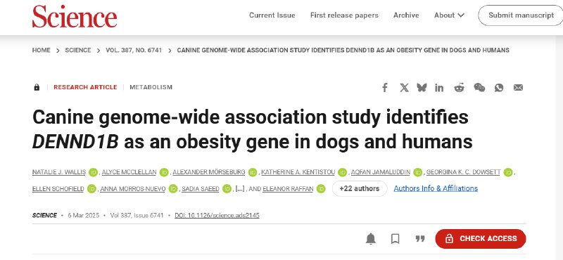 汪汪队立大功！科学家发现人犬通用“肥胖基因”肥胖已成为全球性的健康挑战，其复杂的遗传机制尚未完全阐明