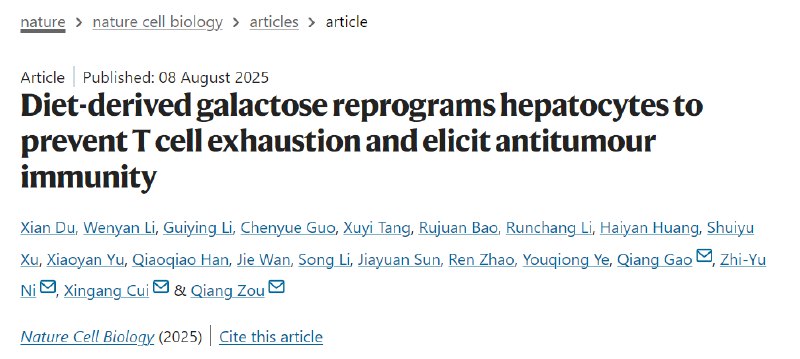 餐桌上的抗癌奇兵？最新研究发现半乳糖可唤醒免疫系统《自然 - 细胞生物学》最新研究发现，食物中常见的半乳糖可显著增强抗肿瘤免疫