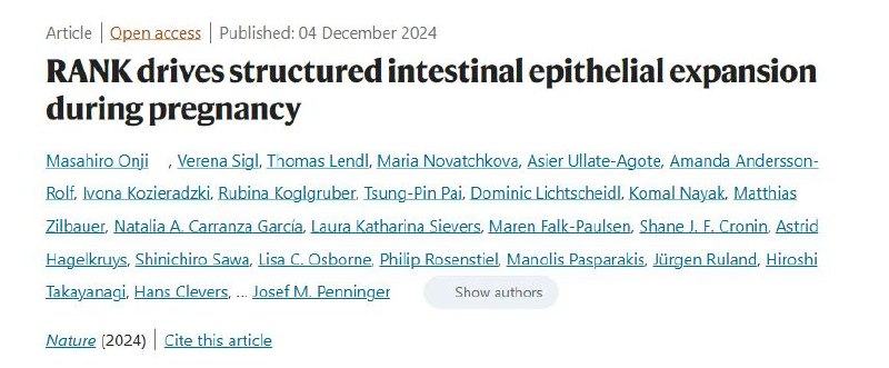 Nature：在怀孕和哺乳期间女性肠道发生巨大变化维也纳医科大学领导的研究团队近日发现，在怀孕和哺乳期间，雌性动物的肠道也发生了巨大变化，肠道表面积增加了一倍，结构也发生了惊人的重组
