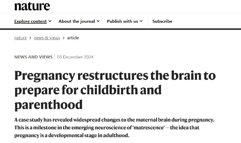 《Nature》最新评论：怀孕会重塑大脑，为分娩和养育子女做好准备 一项案例研究揭示了母亲大脑在怀孕期间发生的广泛变化