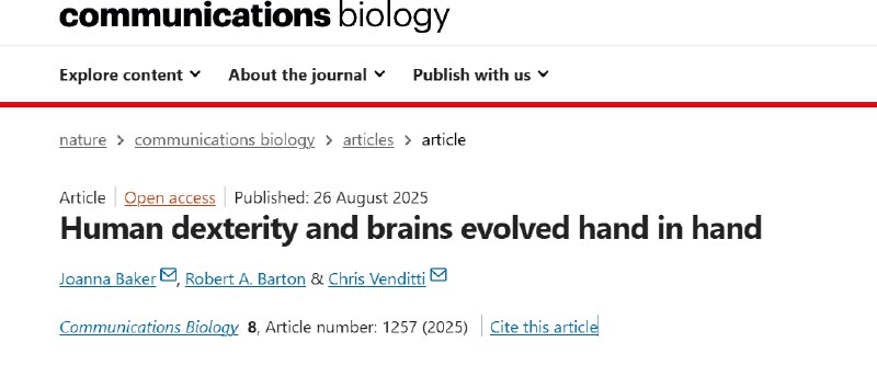 脑子越大，拇指越长？科学家揭秘手脑协同进化之路一项发表于《通讯生物学》的最新研究，通过对 95 种现存及已灭绝的灵长类动物进行分析，证实了灵巧的双手与硕大的大脑在进化中存在紧密的协同关系
